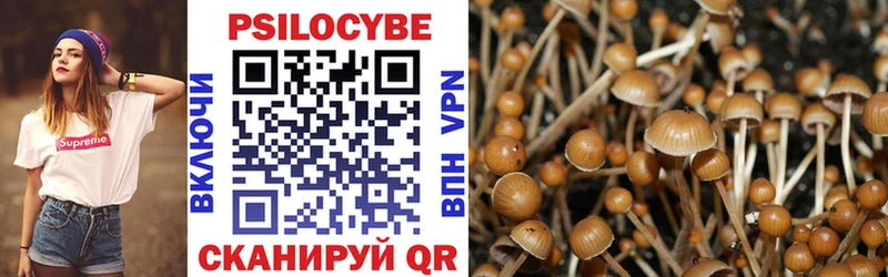 купить   Александровск  Псилоцибиновые грибы мицелий 