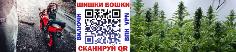 KRAKEN зеркало  где можно купить   Александровск  Бошки Шишки VHQ 